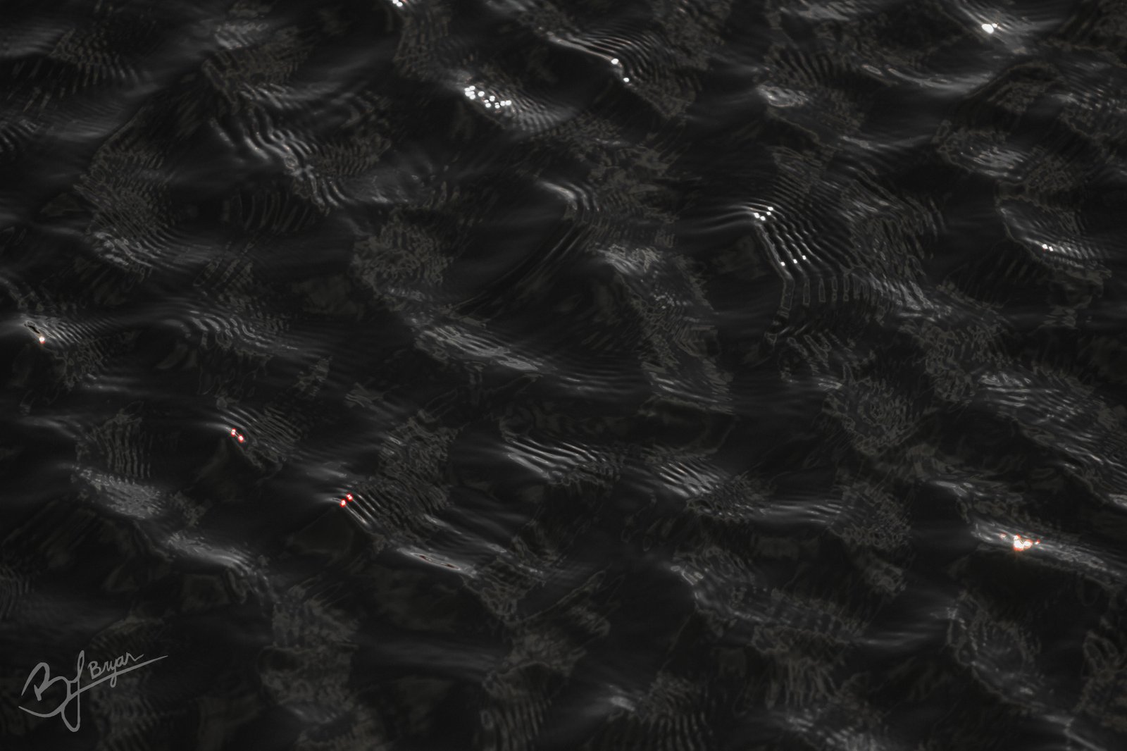 ripples in the water