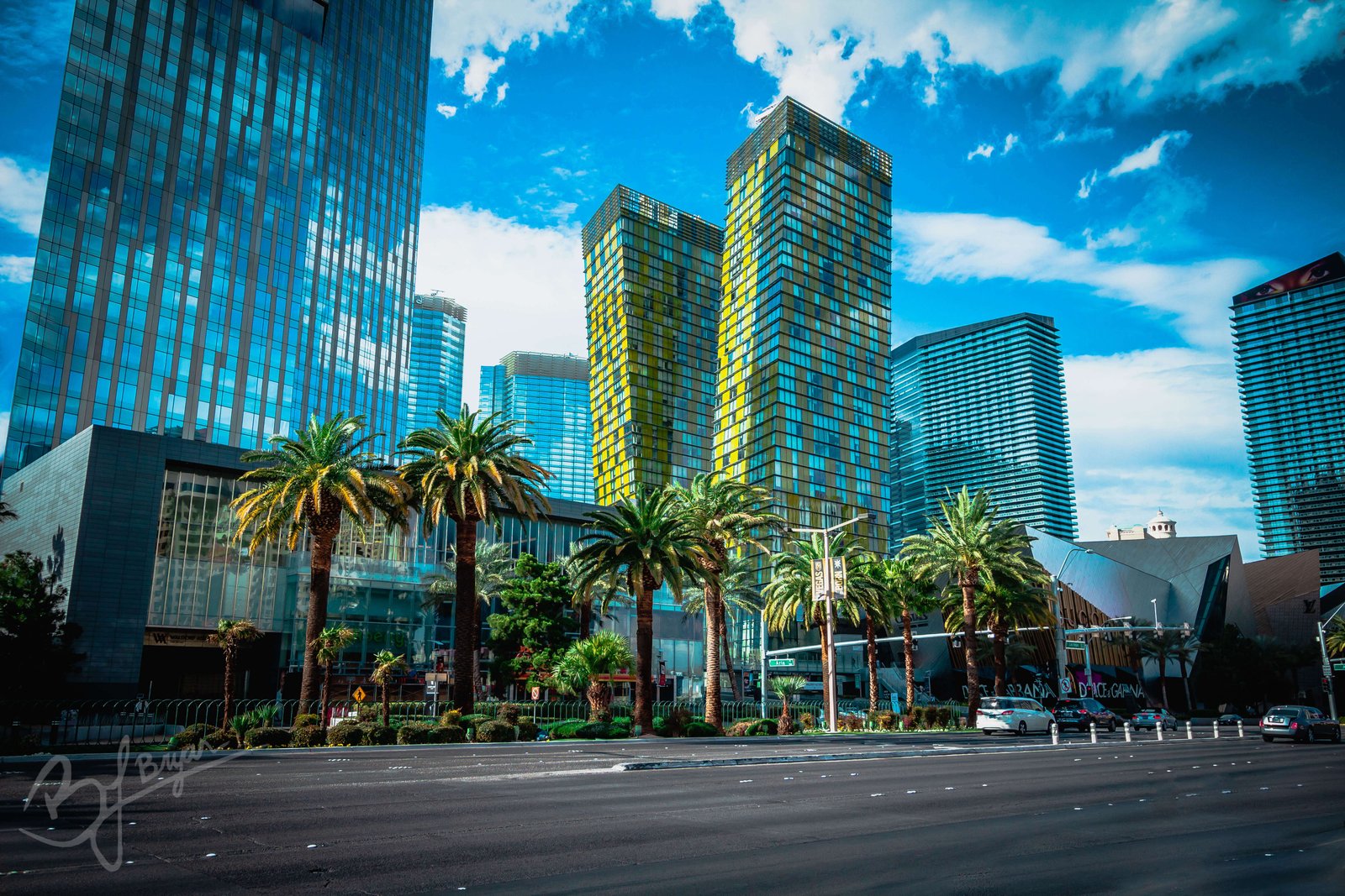 palm trees in Vegas