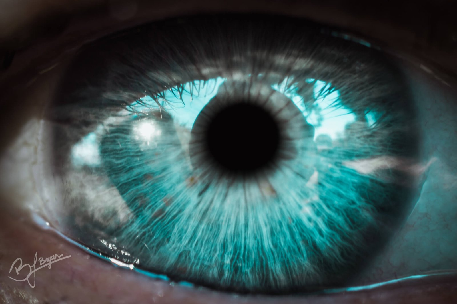 a detailed eye